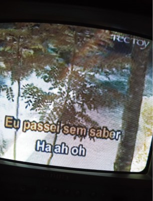 SEGA_VCD_Playing.jpeg