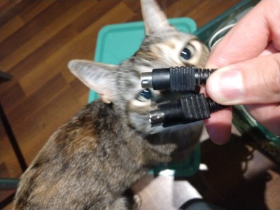 plugs.jpg
