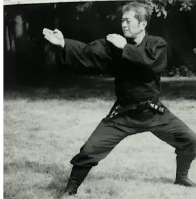 Ninjutsu stance (side view).jpg