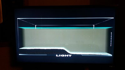 Brown water in tank, everything is dark and hard to make out.