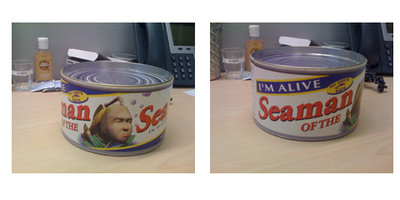 seaman.jpg