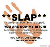 biotchslap.jpg